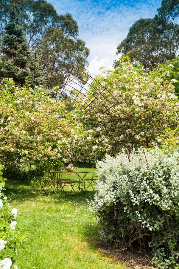 Hollyhock Bed and Breakfast Macedon Buitenkant foto